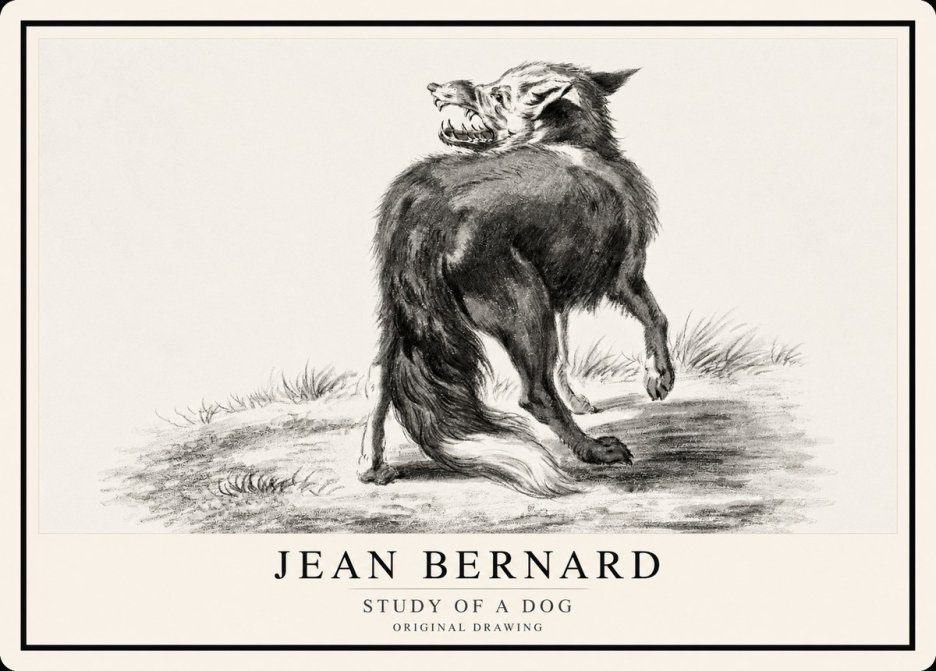 Jean Bernard Study of a Dog II No1 - Affiche
