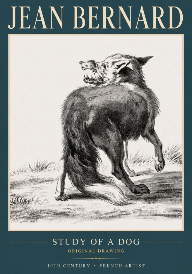 Jean Bernard Study of a Dog II No3 - Affiche