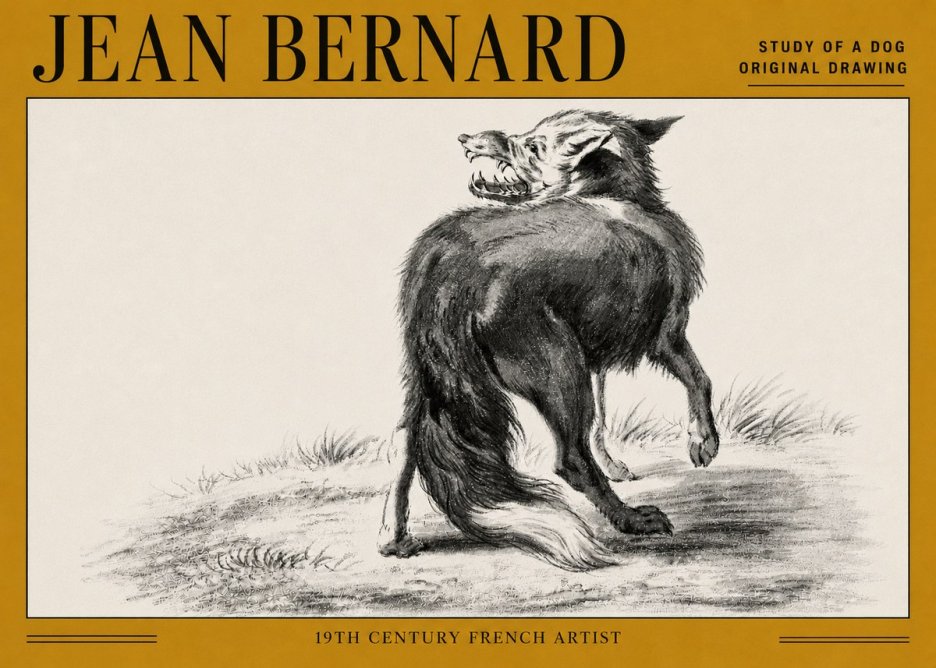 Jean Bernard Study of a Dog II No5 - Affiche