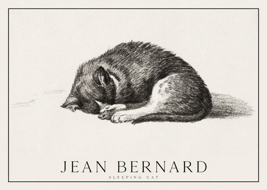 Jean Bernard Sleeping Cat III No1 - Affiche