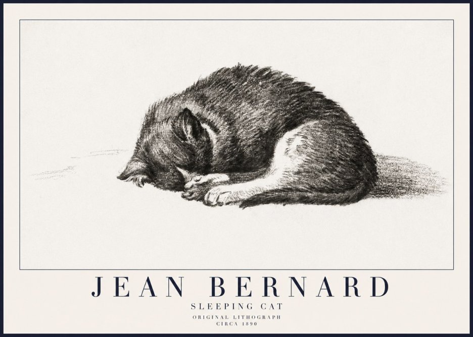 Jean Bernard Sleeping Cat III No6 - Affiche