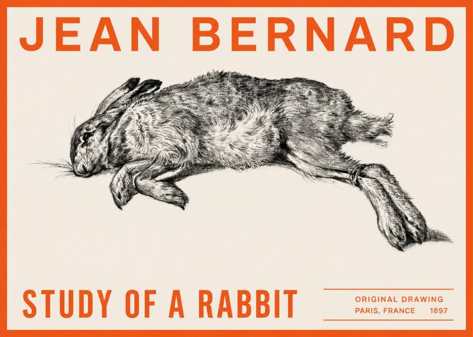 Jean Bernard Study of a Rabbit No2 - Affiche