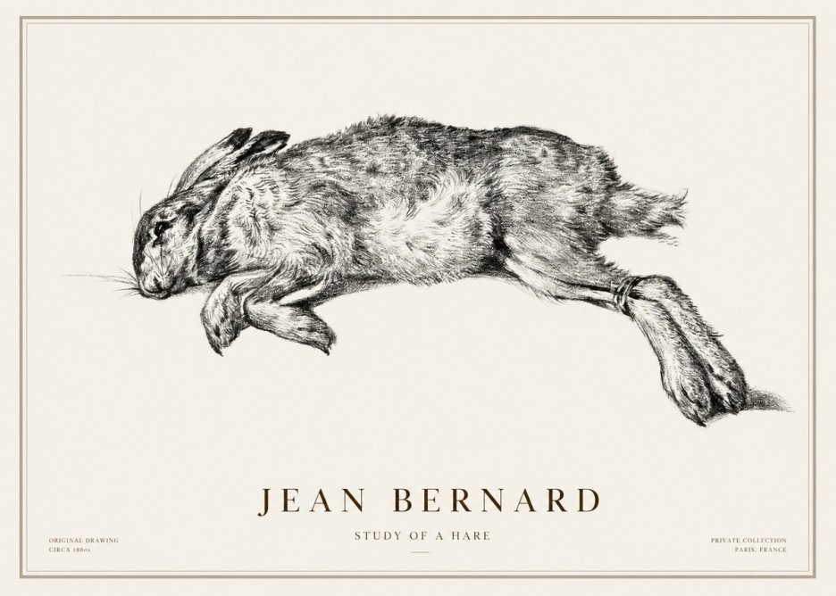 Jean Bernard Study of a Rabbit No3 - Affiche
