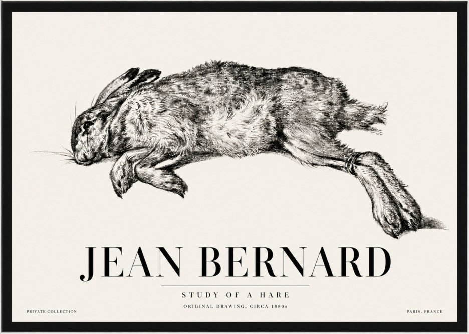 Jean Bernard Study of a Rabbit No5 - Affiche