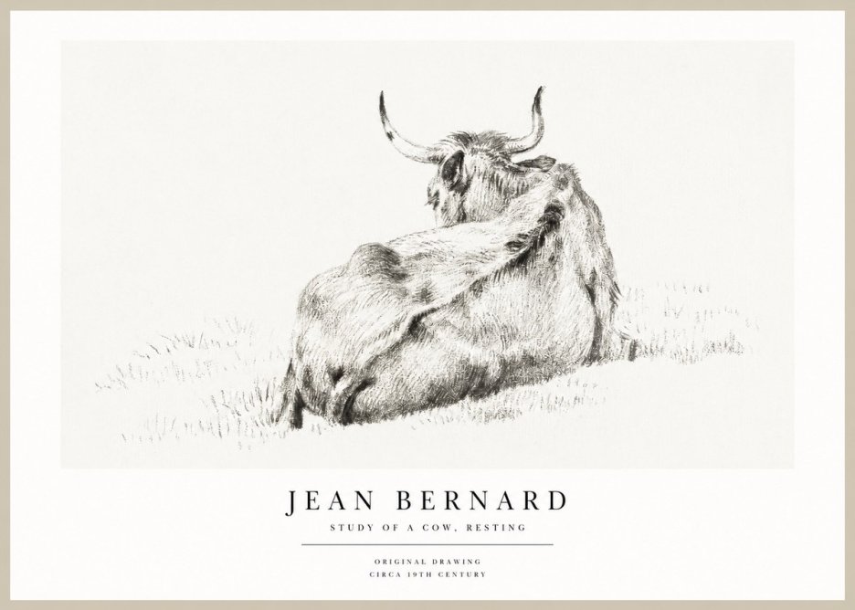 Jean Bernard Resting Bovine - Study in Graphite No2 - Affiche