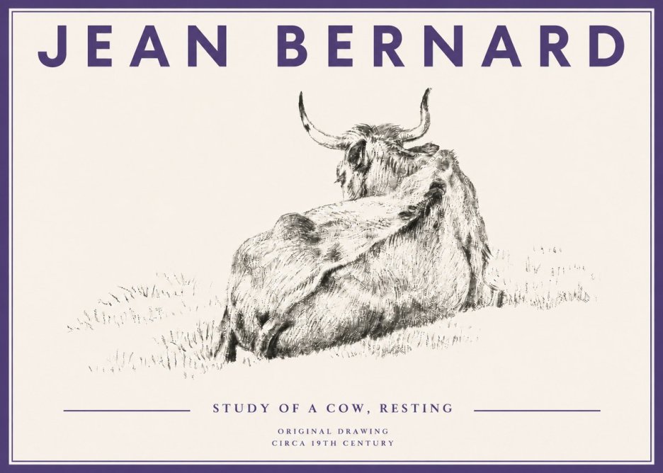 Jean Bernard Resting Bovine - Study in Graphite No5 - Affiche
