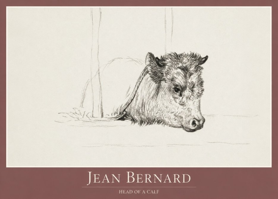 Jean Bernard Study of a Calf I No2 - Affiche