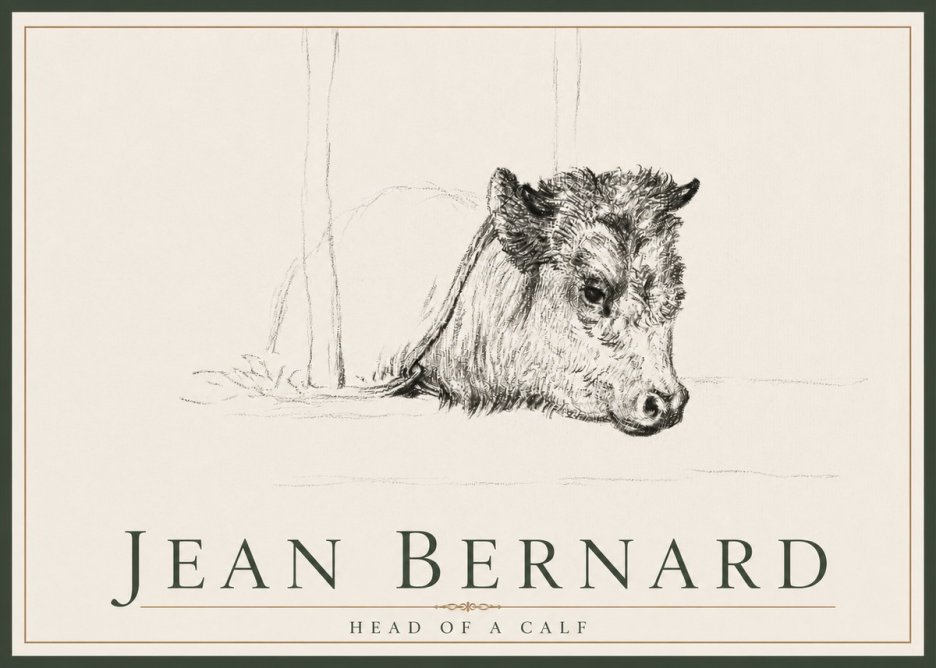 Jean Bernard Study of a Calf I No4 - Affiche