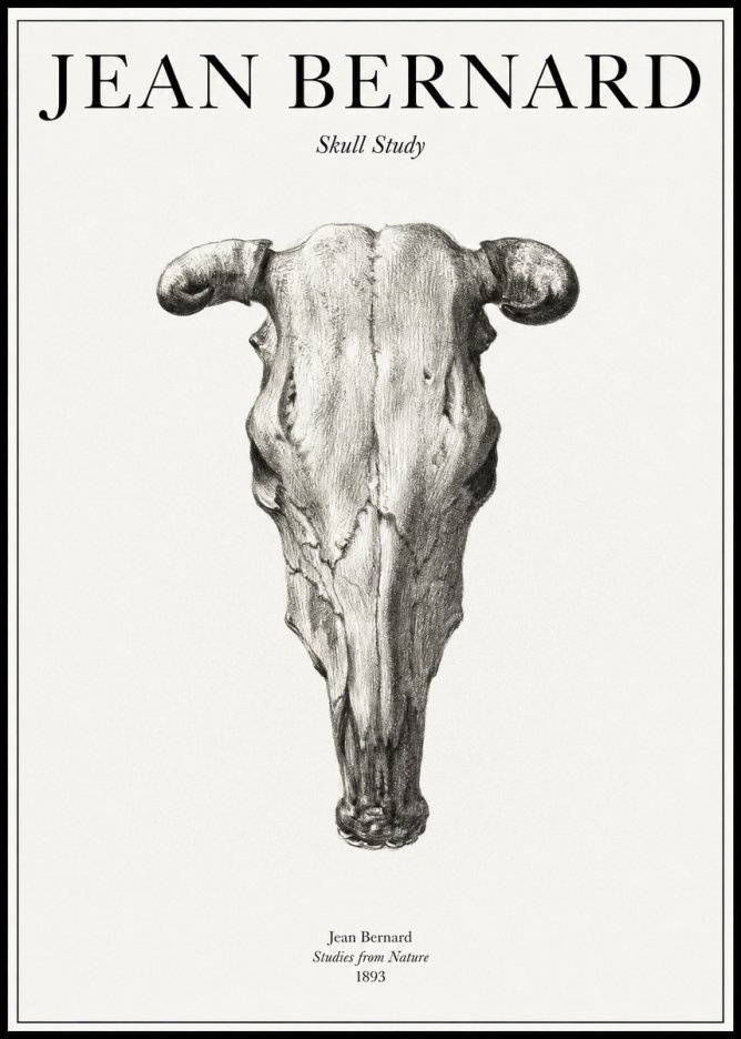 Jean Bernard Skull Study No1 - Affiche