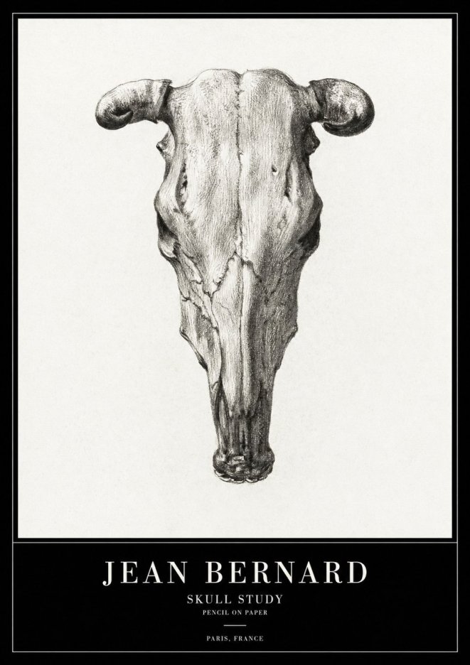 Jean Bernard Skull Study No2 - Affiche