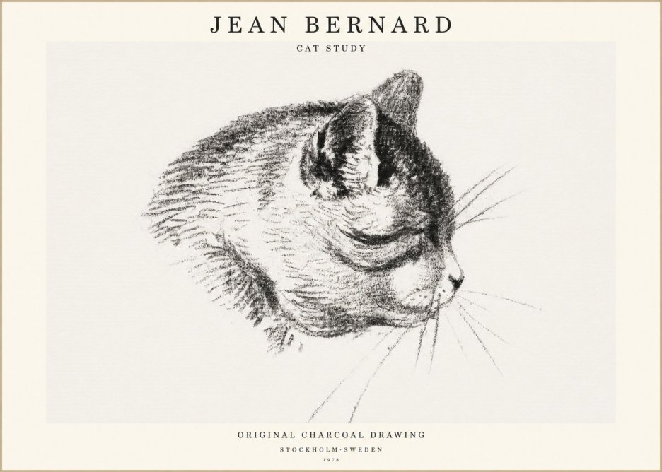 Jean Bernard Cat Study IV No1 - Affiche