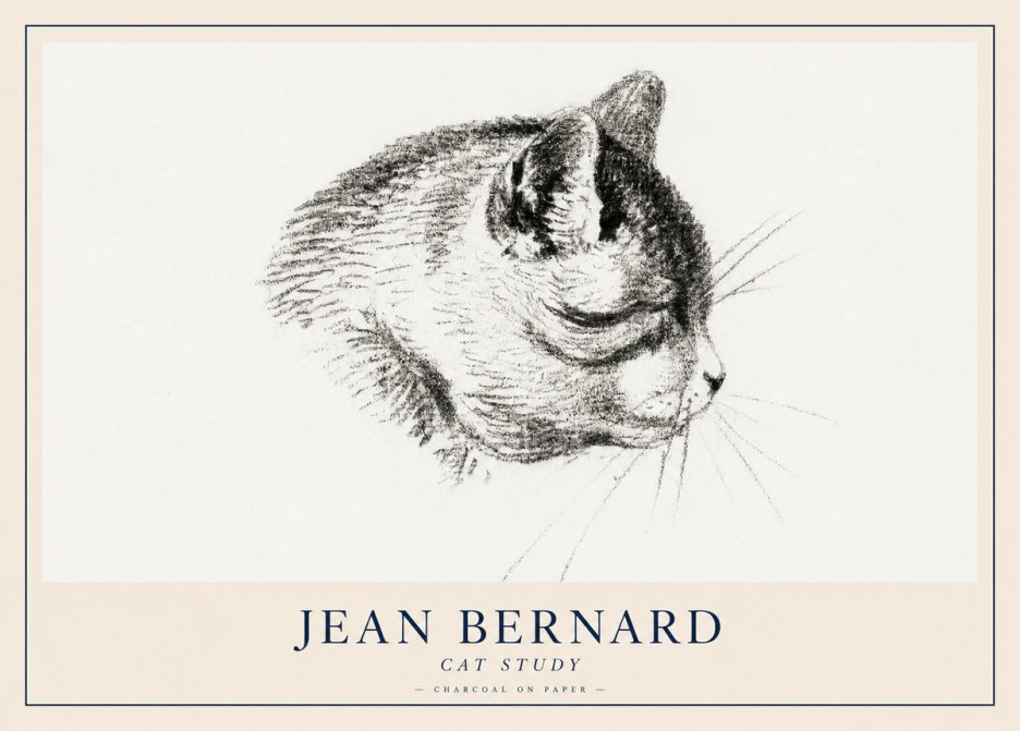 Jean Bernard Cat Study IV No2 - Affiche