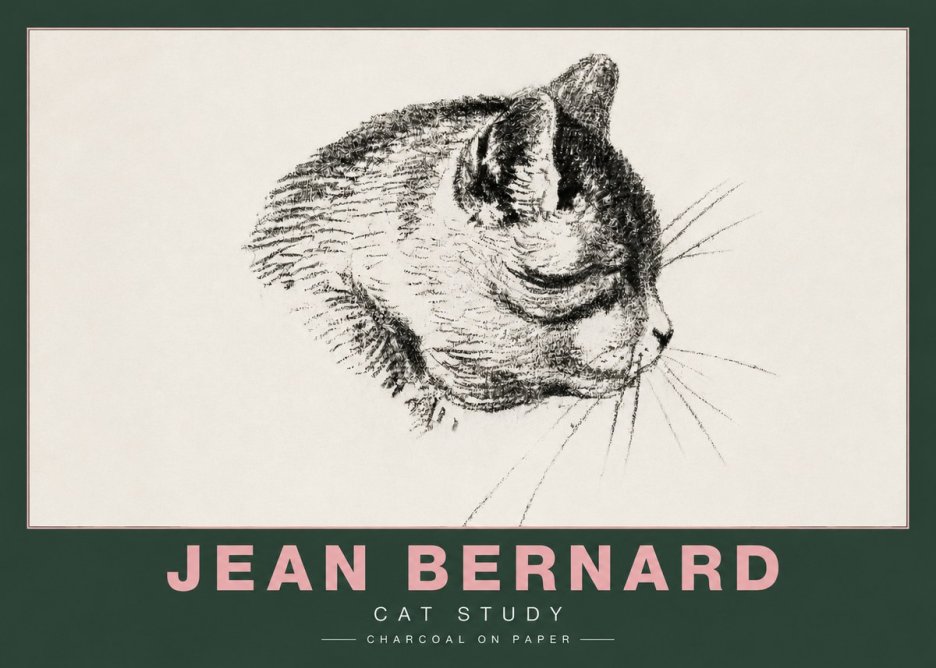 Jean Bernard Cat Study IV No4 - Affiche