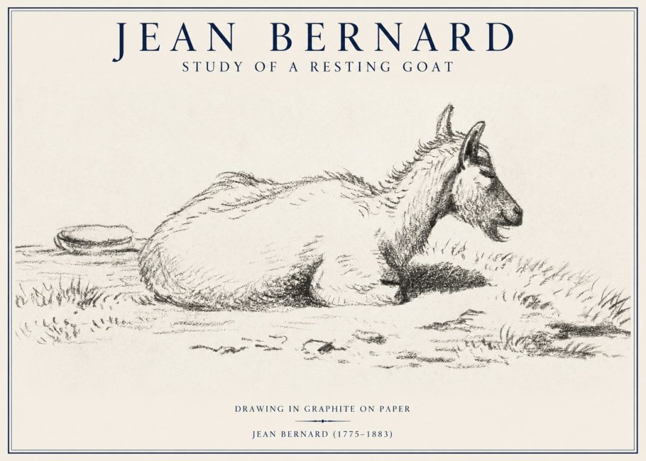 Jean Bernard Study of a Resting Goat No1 - Affiche