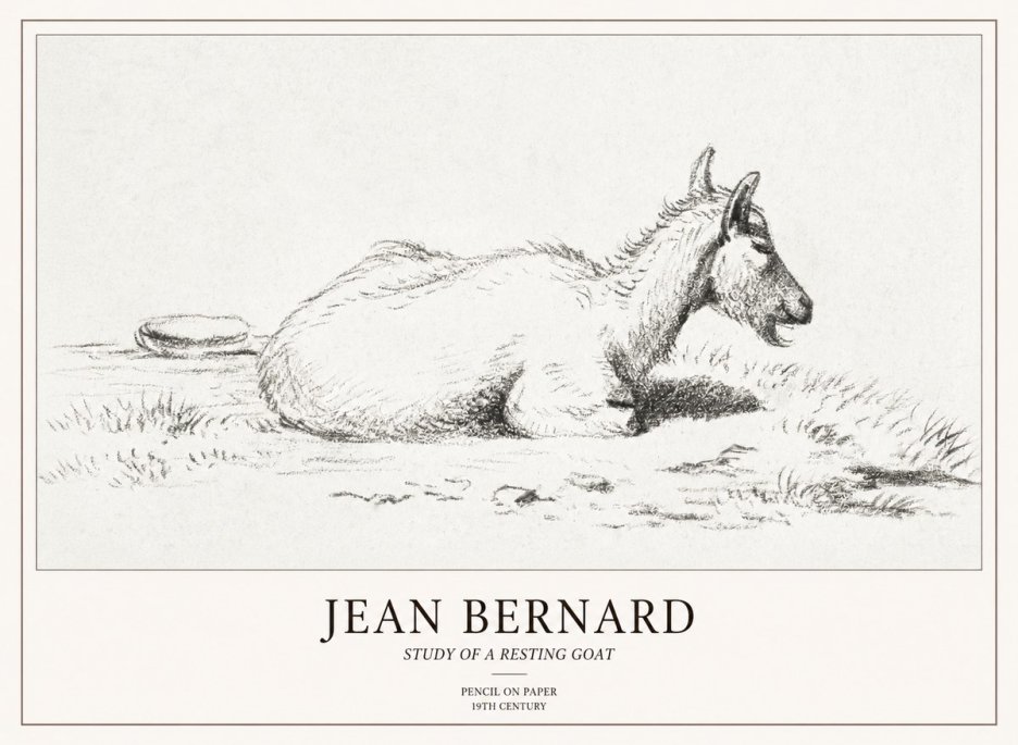 Jean Bernard Study of a Resting Goat No2 - Affiche