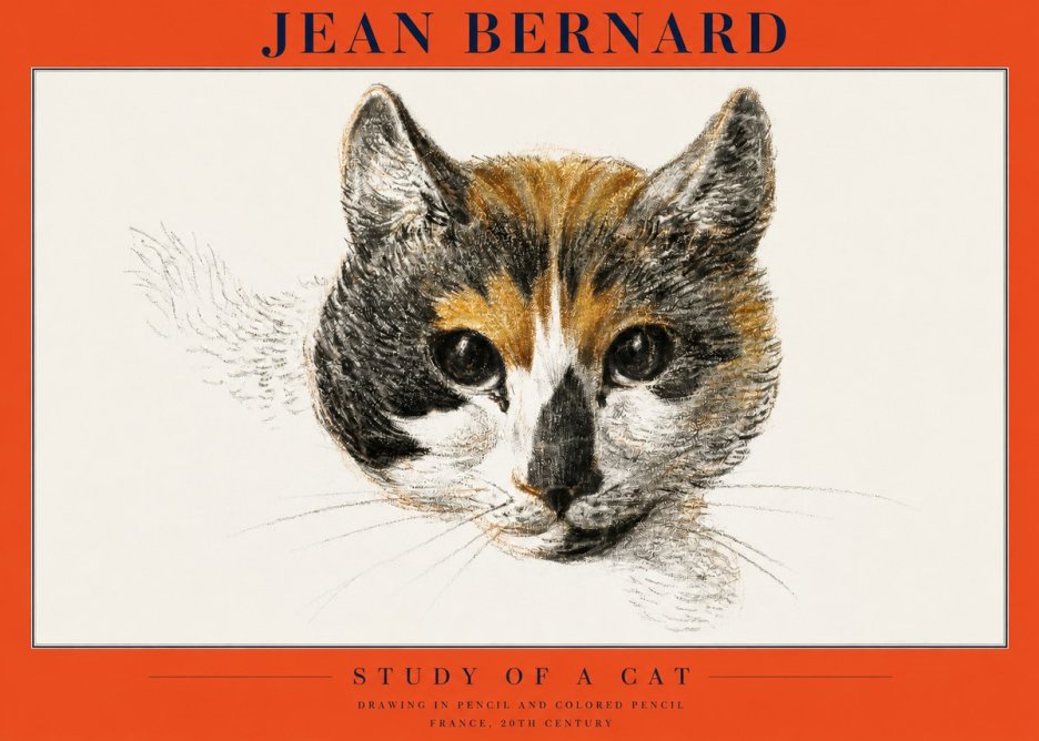Jean Bernard Study of a Cat II No2 - Affiche