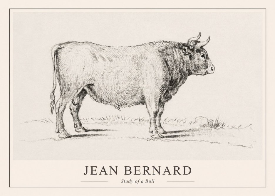 Jean Bernard Study of a Bull I No1 - Affiche