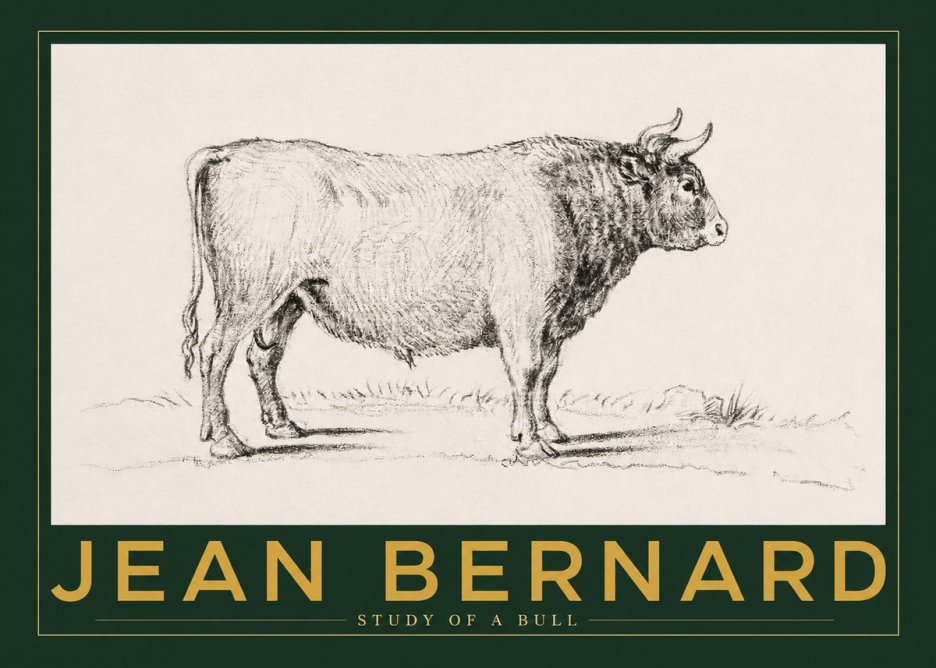 Jean Bernard Study of a Bull I No2 - Affiche