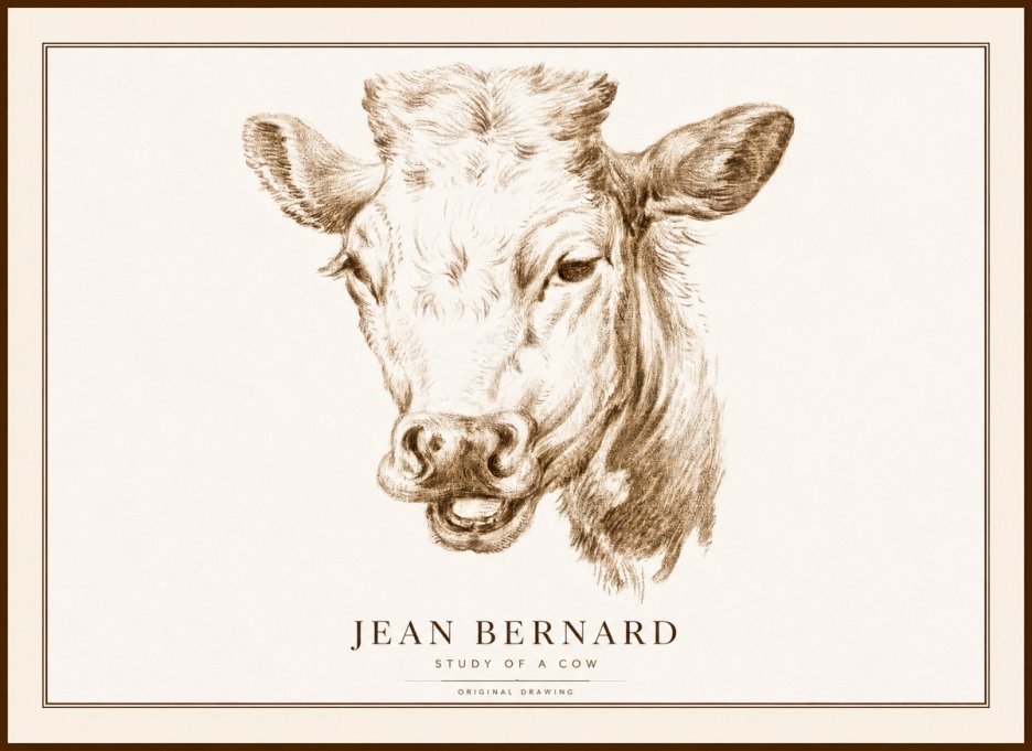 Jean Bernard Study of a Cow IV No1 - Affiche