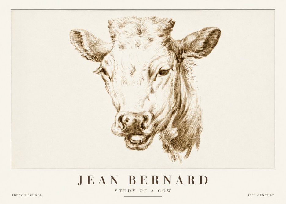 Jean Bernard Study of a Cow IV No2 - Affiche