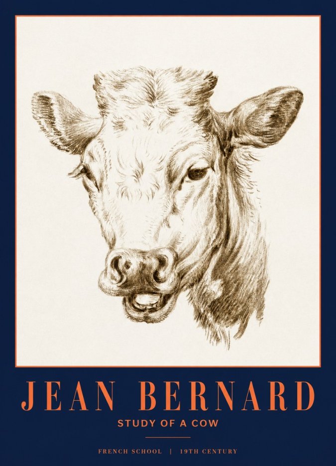 Jean Bernard Study of a Cow IV No3 - Affiche