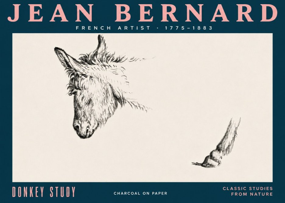 Jean Bernard Study of a Donkey II No5 - Affiche