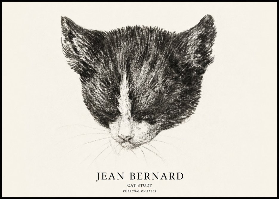 Jean Bernard Cat Study V No1 - Affiche