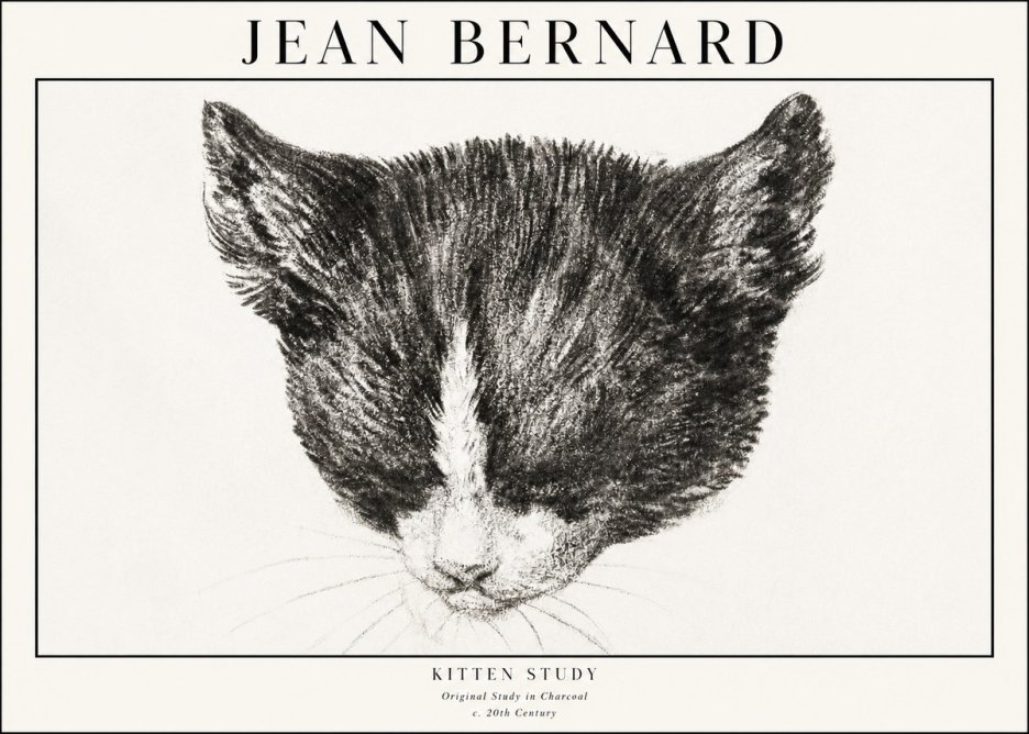 Jean Bernard Cat Study V No4 - Affiche