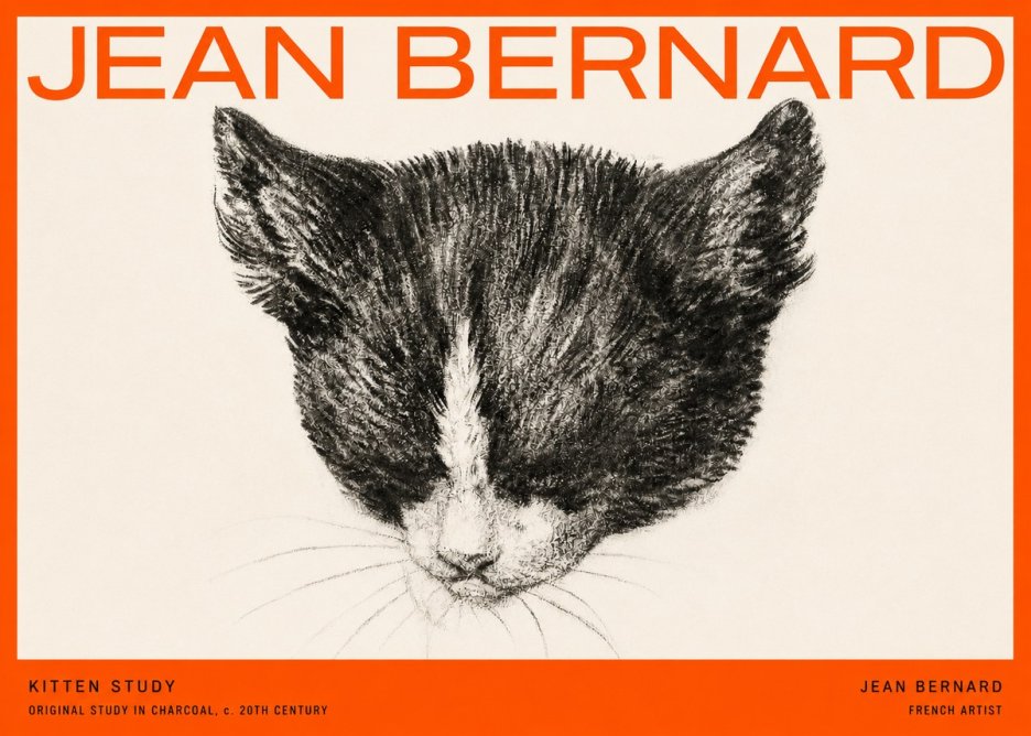 Jean Bernard Cat Study V No5 - Affiche