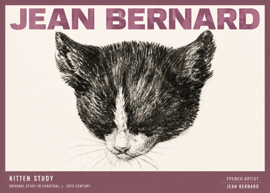 Jean Bernard Cat Study V No6 - Affiche