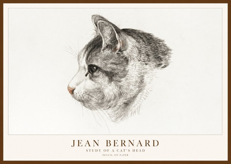 Jean Bernard Cat Study, Profile No2 - Affiche