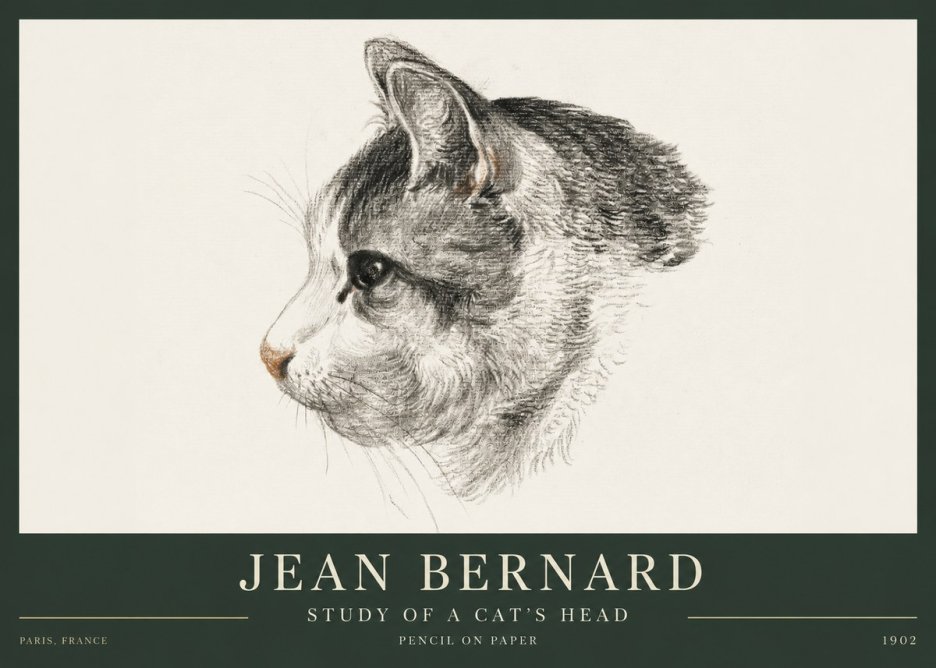 Jean Bernard Cat Study, Profile No4 - Affiche