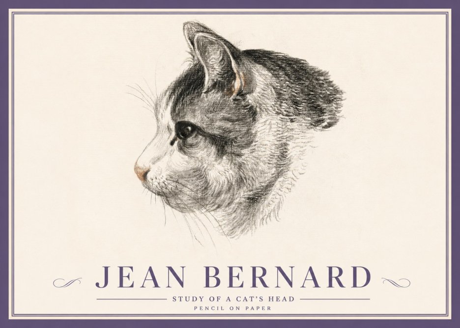 Jean Bernard Cat Study, Profile No5 - Affiche