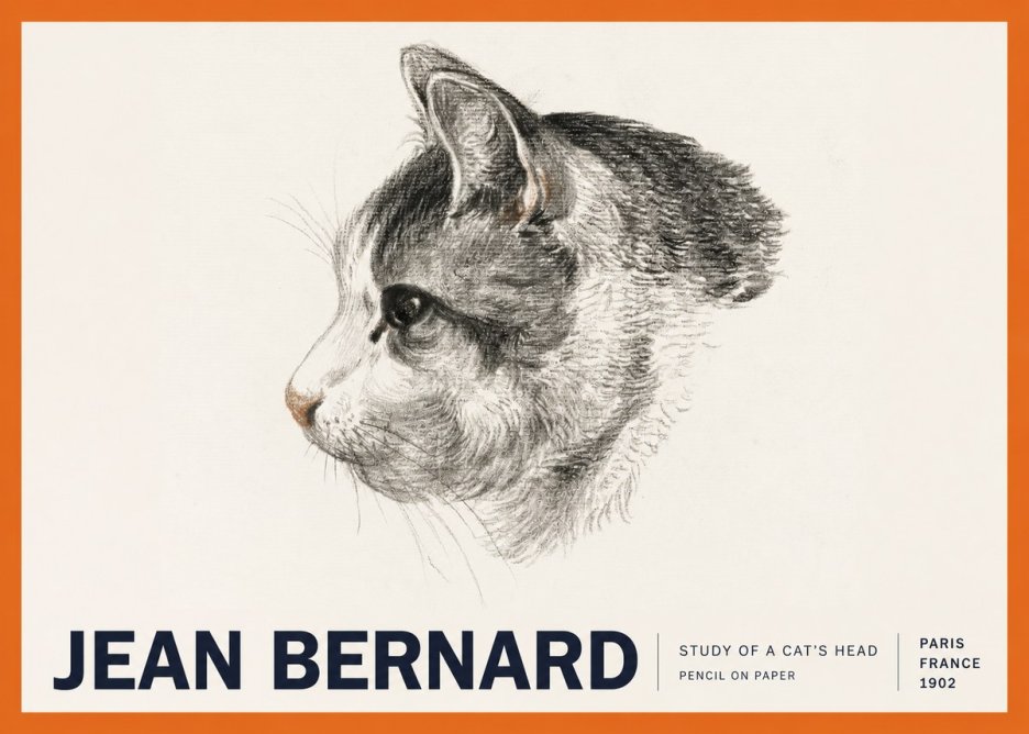 Jean Bernard Cat Study, Profile No6 - Affiche