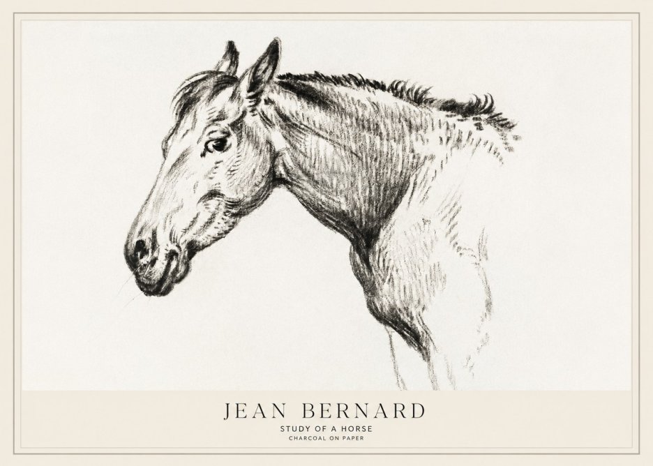 Jean Bernard Study of a Horse VI No1 - Affiche