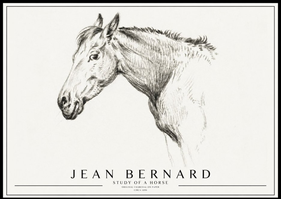 Jean Bernard Study of a Horse VI No3 - Affiche