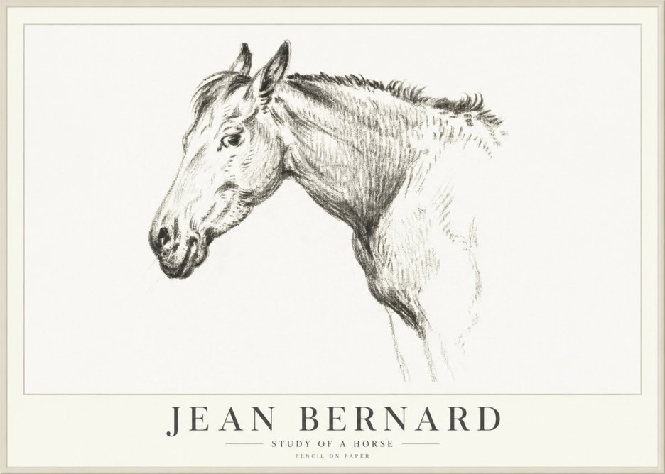 Jean Bernard Study of a Horse VI No4 - Affiche