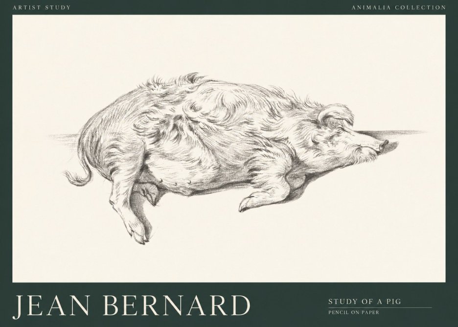 Jean Bernard Study of a Pig I No1 - Affiche