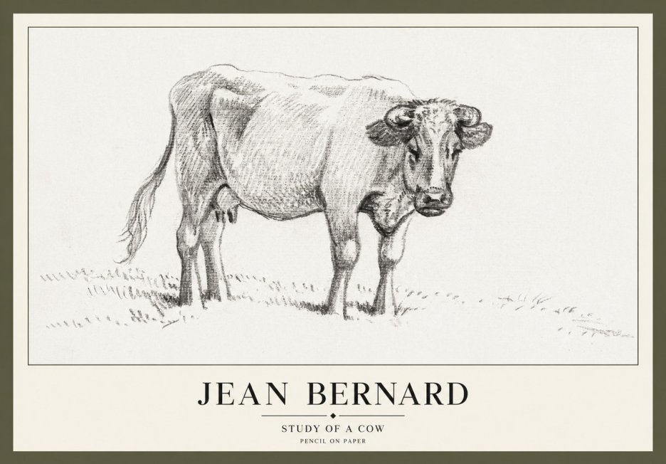 Jean Bernard Study of a Cow V No3 - Affiche