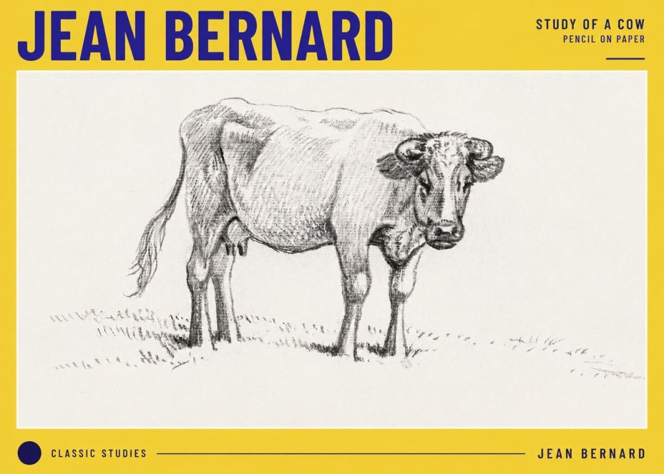 Jean Bernard Study of a Cow V No6 - Affiche