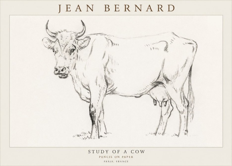 Jean Bernard Study of a Cow VI No3 - Affiche