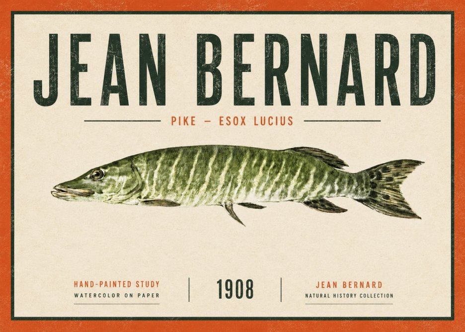 Jean Bernard Northern Pike No6 - Affiche