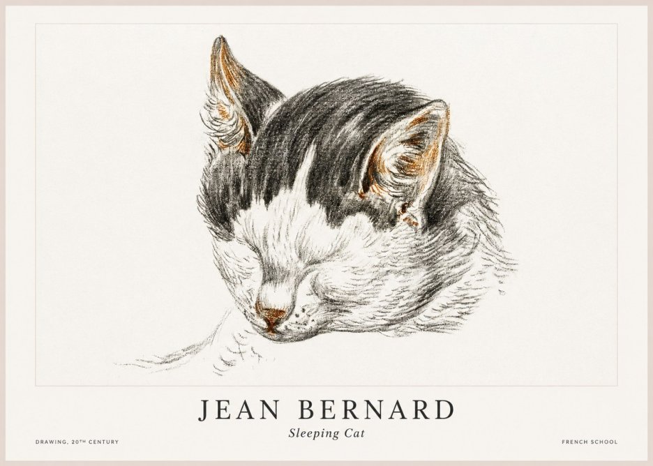 Jean Bernard Sleeping Cat V No1 - Affiche