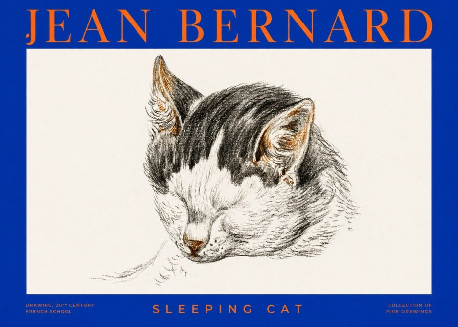 Jean Bernard Sleeping Cat V No2 - Affiche