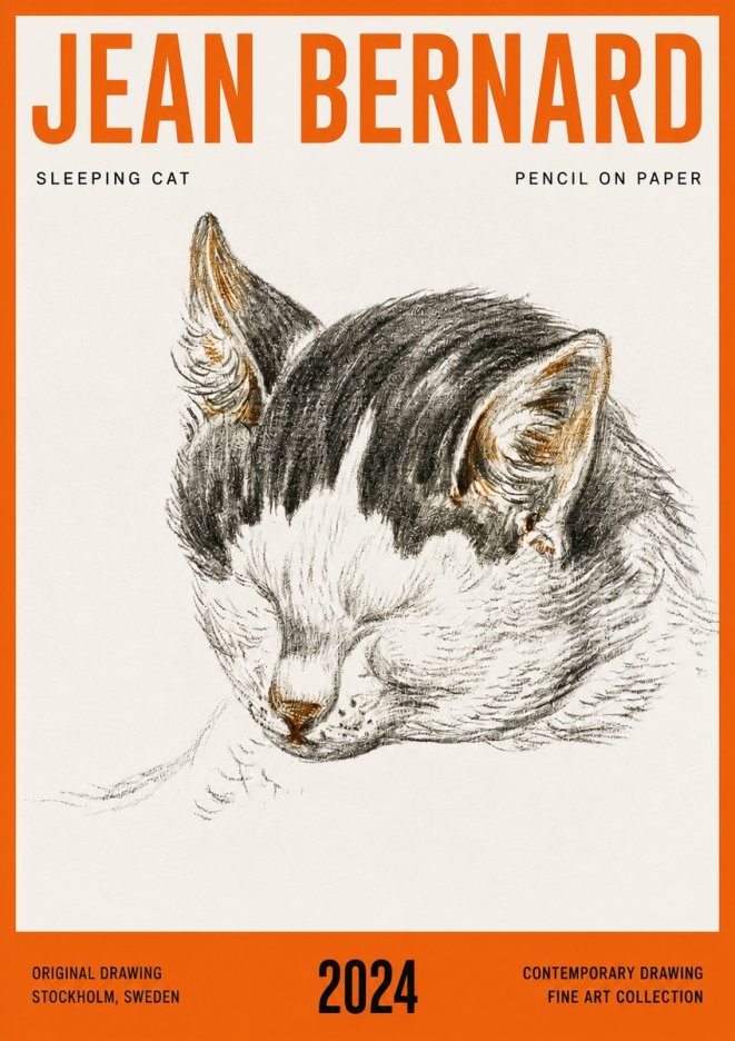 Jean Bernard Sleeping Cat V No4 - Affiche