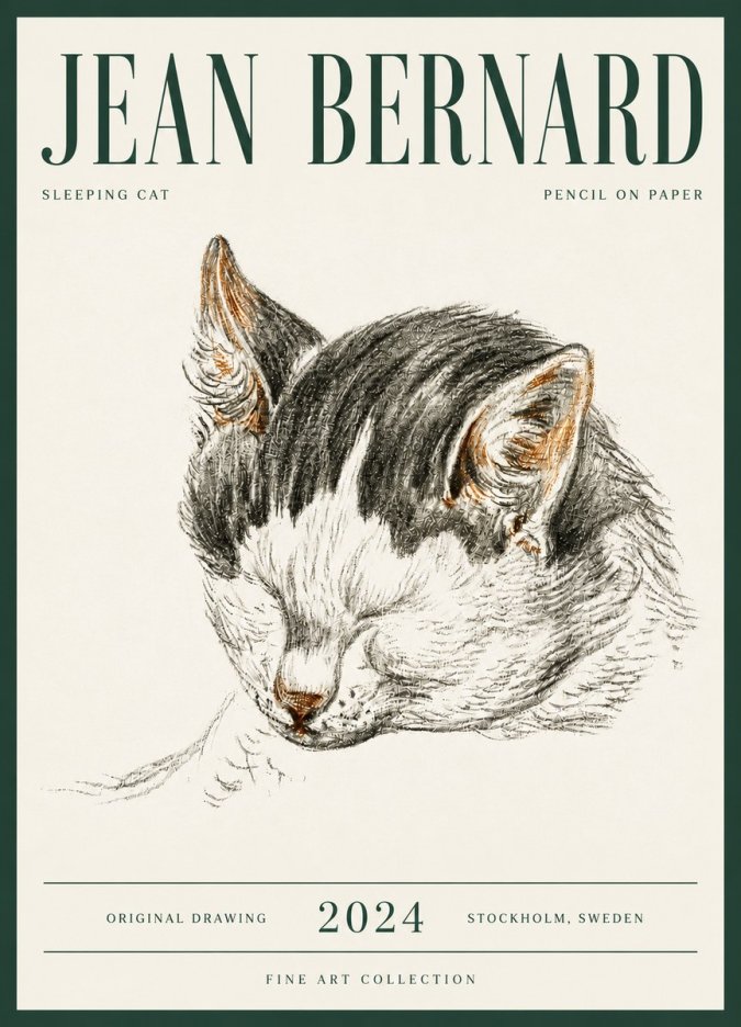 Jean Bernard Sleeping Cat V No6 - Affiche