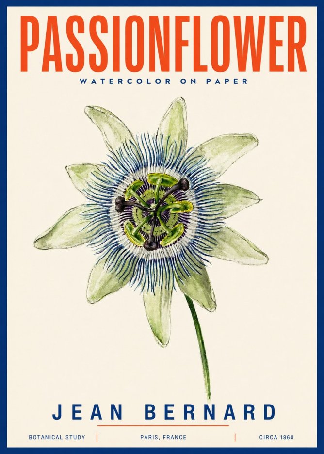 Jean Bernard Passionflower No4 - Affiche