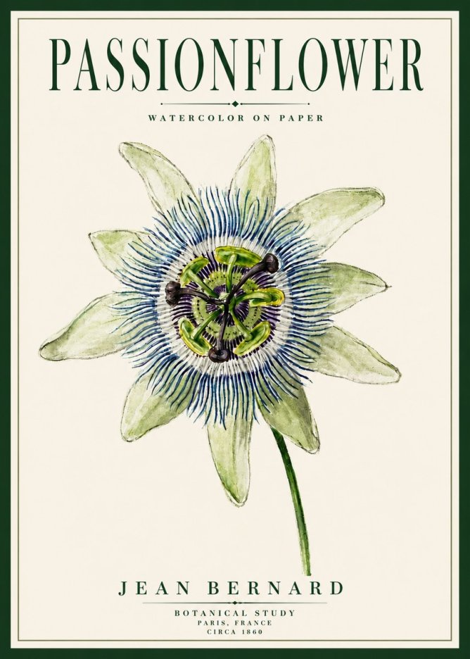 Jean Bernard Passionflower No5 - Affiche