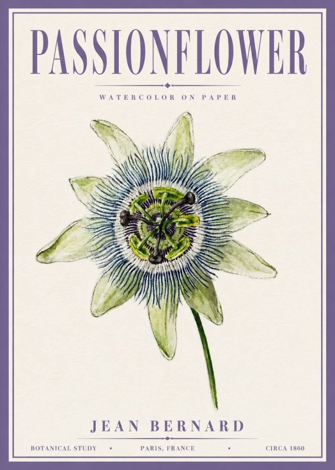 Jean Bernard Passionflower No6 - Affiche