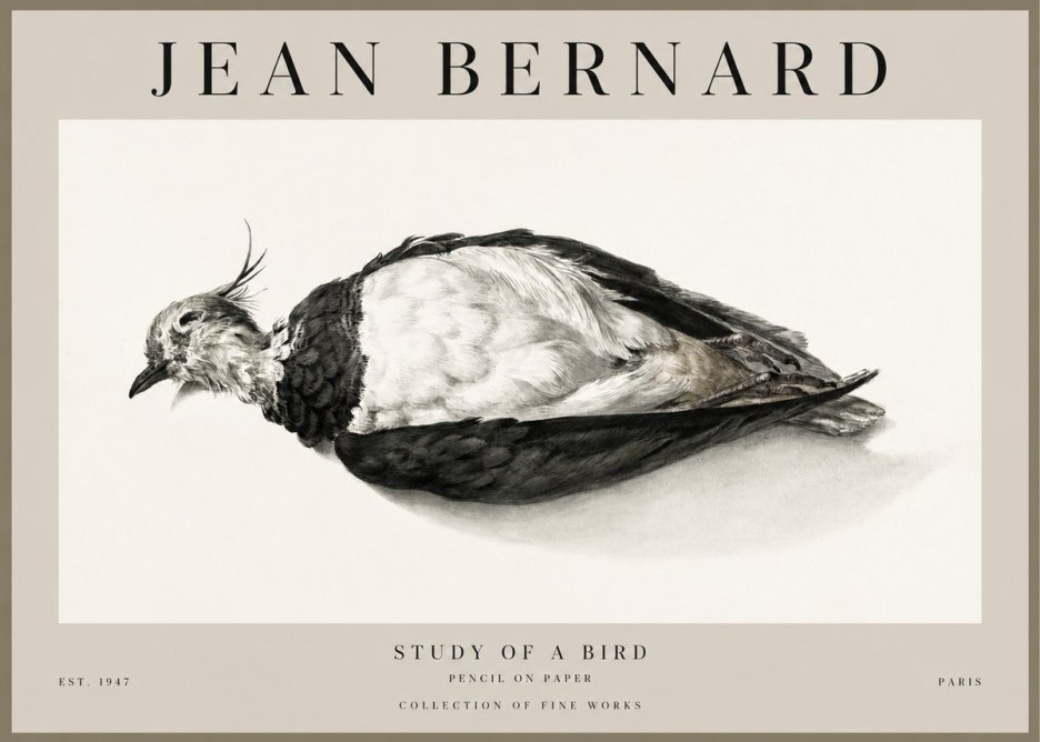 Jean Bernard Study of a Bird II No1 - Affiche
